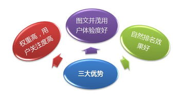 承德網(wǎng)站網(wǎng)絡(luò)推廣新篇章 專業(yè)網(wǎng)絡(luò)科技服務(wù)助力企業(yè)騰飛